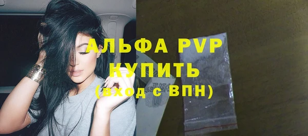 spice Аркадак