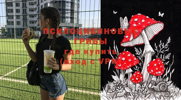 spice Аркадак