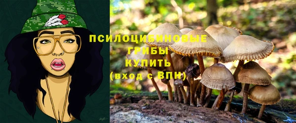 spice Аркадак