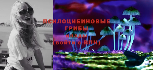 дмт Арсеньев